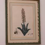 Lejlighed Lc41 Firenze
